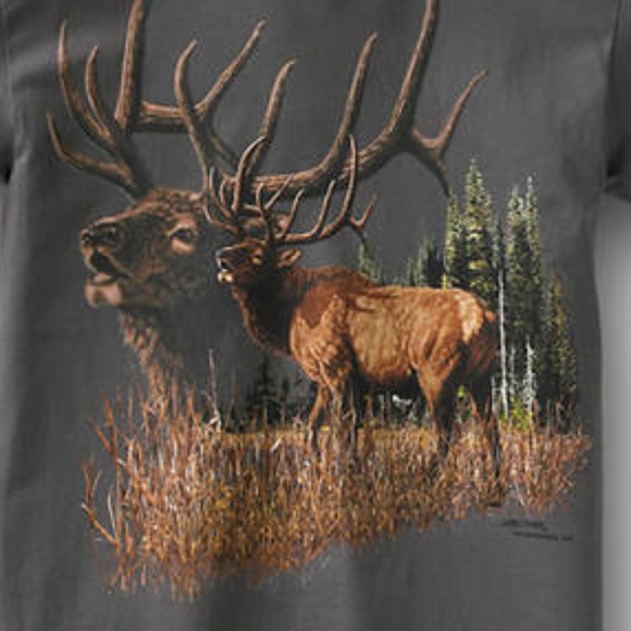 Wildlife Adventure Tees(M) - Picture 2 of 3